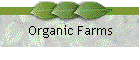 Organic Farms