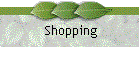 Shopping